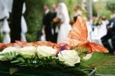 files_ideas_wedding[28b32f2eb2d19275206ec8f386246c98].jpg